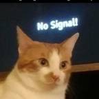 PurrPirate